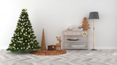 4、实合地板：是实木地板强化地板之间的新型地